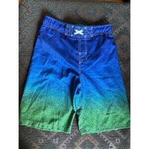Boys Blue and Green Swim Trunks